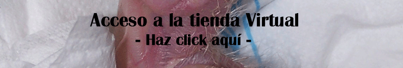 Todo lo que necesitas para tu loro en la nueva tienda virtual de CRIADERO YACO